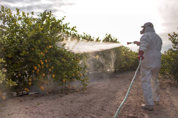 Best Pest Control Near Me in Archbold, OH