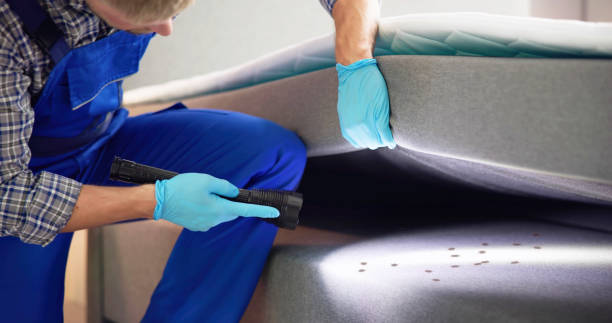 Best Affordable Pest Control Services  in Archbold, OH